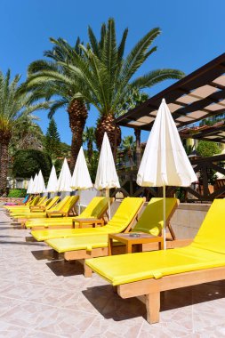 Otelin açık yüzme havuzunun yanında bir sıra sarı şezlong. 
