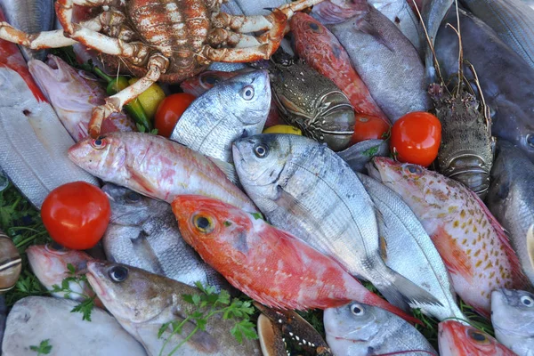 Buz üzerinde taze balık ve deniz ürünleri çeşitli. Essaouira'daki balıkçı pazarı. Fas