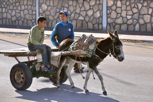 Küçük bir arabada iki genç, bir eşek tarafından çekildi. Tarfaya mı? Fas. Kuzey Afrika. 6 Ocak 2013.