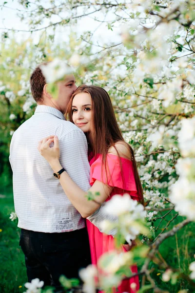 young enamored couple in the spring lush apple orchards 1