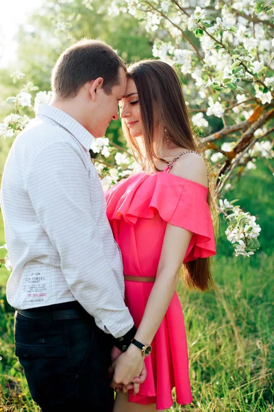 young enamored couple in the spring lush apple orchards 1