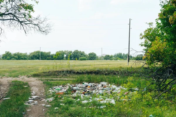 scattered trash in a green summer forest, environmental pollution 1