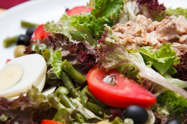 Sebze salatası yakın çekim. Sağlıklı snack. Kavramı bir lezzetli ve sağlıklı yemek için.