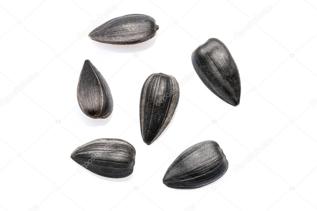 Sunflower seeds isolated on white background. Close-up.