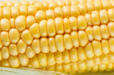 Sarı mısır arka planının fotoğrafı, sağlıklı ve lezzetli yiyecekler..