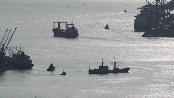 Schiffe verschiedener Größen schwimmen in Silhouette auf dem Gebiet des Hafens im Fjord — Stockvideo