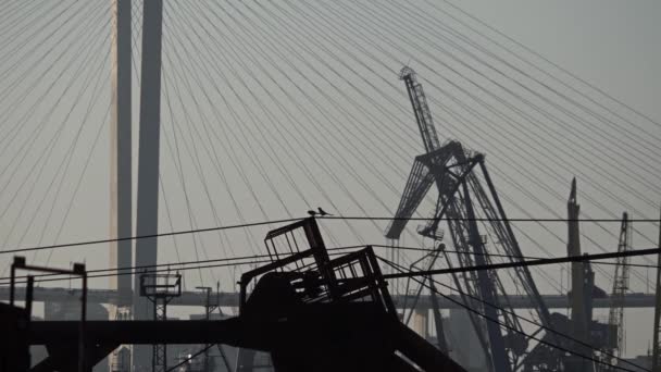 Contra fondo de estructuras metálicas grúas portuarias grandes y un enorme puente dos pájaros saltan sobre una cuerda — Vídeo de stock