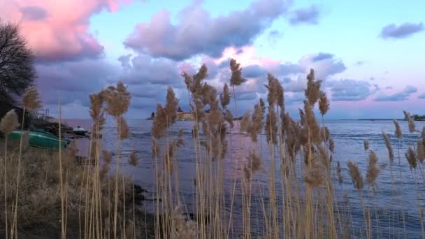 La fortaleza en el agua aparece lentamente por detrás de las cañas — Vídeos de Stock