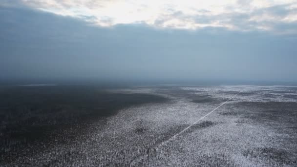 Top view from a low-flying plane on the blue snow-covered low forest on which a flat line for many kilometers into the distance goes the road — Stock Video