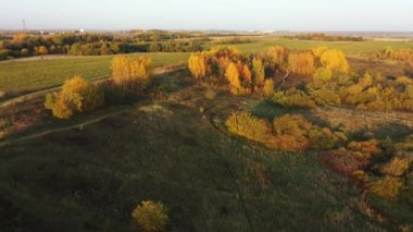 Kırsal bölgede sonbahar portakal ağaçlarının üzerinde uçuyor. Autumn Colors 'un hava görüntüsü. Aşağıdaki dar orman yolları görülebilir.