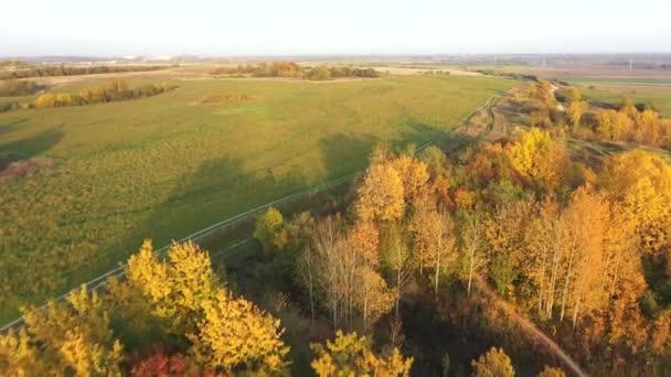 Voando sobre as laranjeiras do outono nos campos. Vista aérea das cores do outono. O drone vira suavemente para a direita e voa sobre uma estrada rural. Caminhos florestais estreitos são visíveis abaixo — Vídeo de Stock