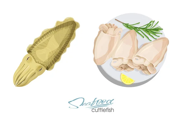 Frutos do mar Cuttlefish esboço isolado. Ilustração de um prato de choco com limão e alecrim em uma chapa. Cuttlefish cozinhado. Ilustração vetorial . —  Vetores de Stock