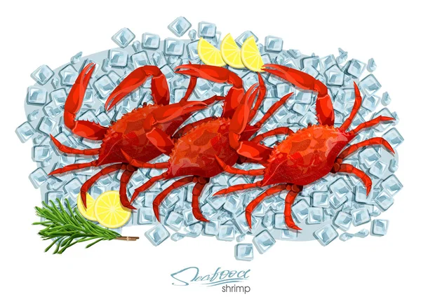 Cangrejos con romero y limón sobre cubitos de hielo. Ilustración vectorial en estilo de dibujos animados. Diseño de productos de mariscos. Vida silvestre habitante del mundo submarino. Alimentos de mar comestibles . — Vector de stock