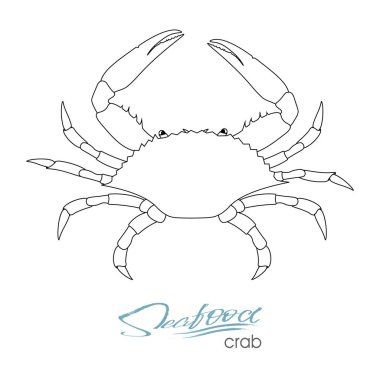 Siluet yengeç. Doğrusal siluet yengeç. Tasarım deniz ürünleri ambalaj ve Pazar, gıda ambalaj veya sualtı deniz animal Temalar Tasarım için yengeç rozet. Vektör çizim.