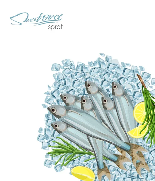 Çaça sketch vektör balık simgesi. Deniz Atlantik Okyanusu hamsi biberiye ve limon buz küpleri ile izole. Deniz ürünleri Restoran işareti veya amblem, kulüp veya balıkçılık Pazar Balık tutma izole simgesi