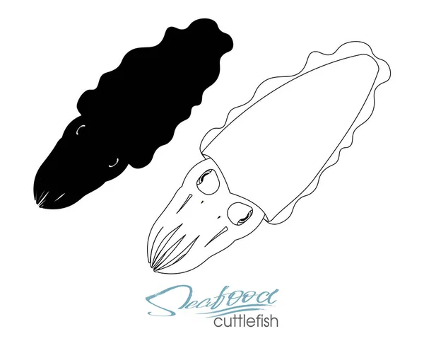 Calamar mariscos boceto aislado. Animal marino, calamar europeo con tentáculos rosas y manto. Mariscos, etiqueta del mercado de pescado, envasado de alimentos o diseño de temas de animales marinos bajo el agua. Silueta lineal peces de mar . — Vector de stock