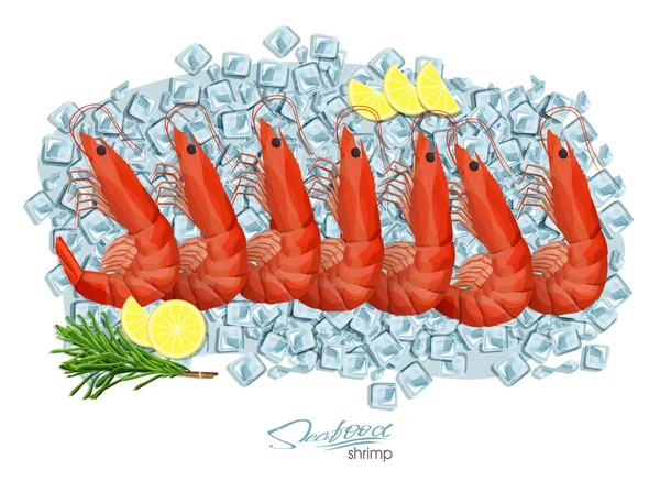 Los langostinos con el romero y el limón sobre los cubitos de hielo. Ilustración vectorial en estilo de dibujos animados. Diseño de productos de mariscos. Vida silvestre habitante del mundo submarino. Alimentos de mar comestibles . — Vector de stock