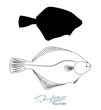 Pisi balığı balık siluet. Doğrusal siluet Deniz balığı. Vektör çizim. Simge rozet pisi balığı balık için tasarım deniz ürünleri ambalaj ve Pazar. Yenilebilir deniz ürünleri