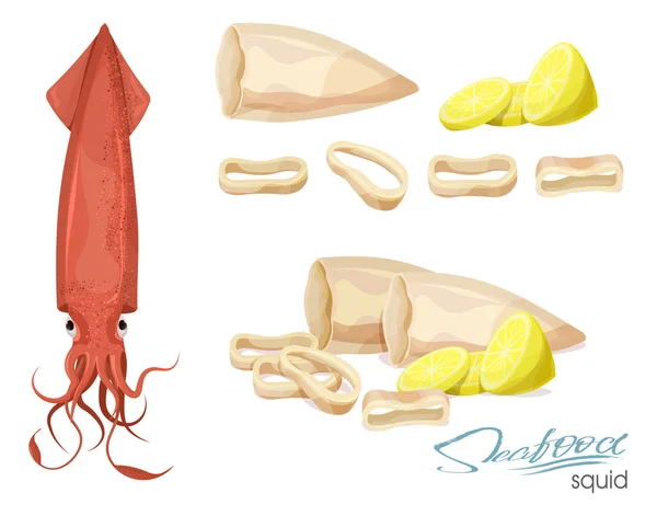 Sjöodjur. Ocean djur. Squid, tentakler och saltade bläckfiskringar. Isolerade illustration på vit bakgrund. Illustration av en maträtt av bläckfisk med citron. Bläckfiskringar kokta. Vektorillustration — Stock vektor