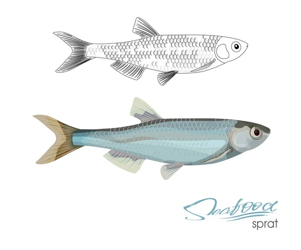 Sprat bosquejo icono de peces vector. Espadines marinos atlánticos aislados. Silueta lineal peces de mar. Símbolo aislado para letrero o emblema de restaurante de mariscos, club de pesca o mercado de pesca — Vector de stock