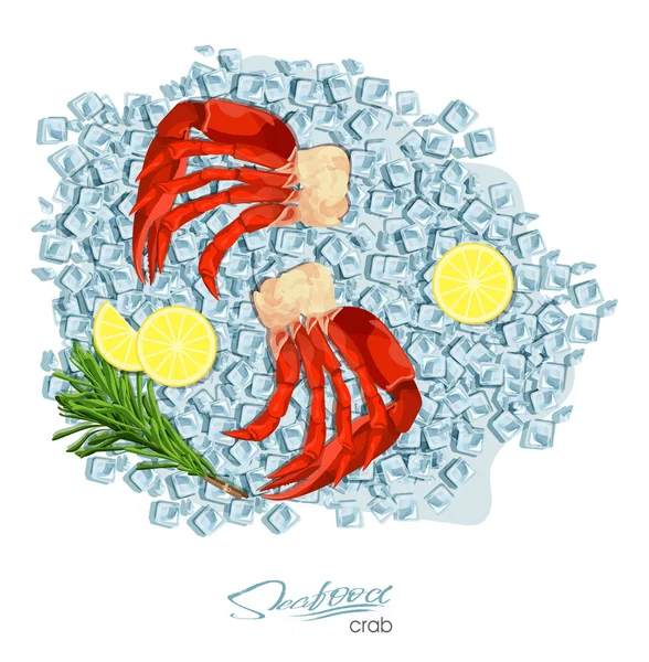 Granchio di carne con rosmarino e limone su cubetti di ghiaccio. Illustrazione vettoriale in stile cartone animato. Design del prodotto a base di pesce. Fauna selvatica abitante del mondo sottomarino. Frutti di mare commestibili . — Vettoriale Stock