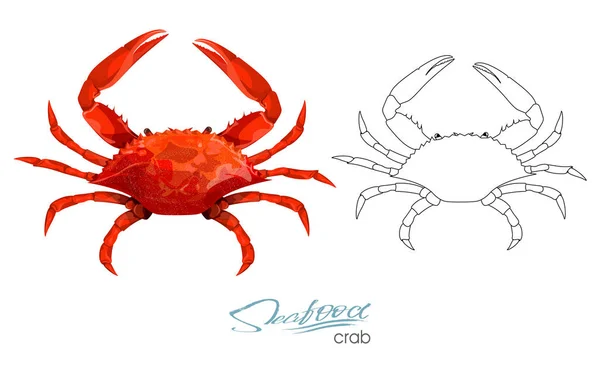 Ilustración vectorial de cangrejo en estilo de dibujos animados aislados sobre fondo blanco. Diseño de productos de mariscos. Silueta lineal de un cangrejo. Comida de mar comestible. Silueta lineal de un cangrejo . — Vector de stock