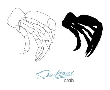 Siluet Yengeç eti. Doğrusal siluet Yengeç eti. Tasarım deniz ürünleri ambalaj ve Pazar, gıda ambalaj veya sualtı deniz hayvan temalı tasarım için yengeç rozet. Vektör çizim.