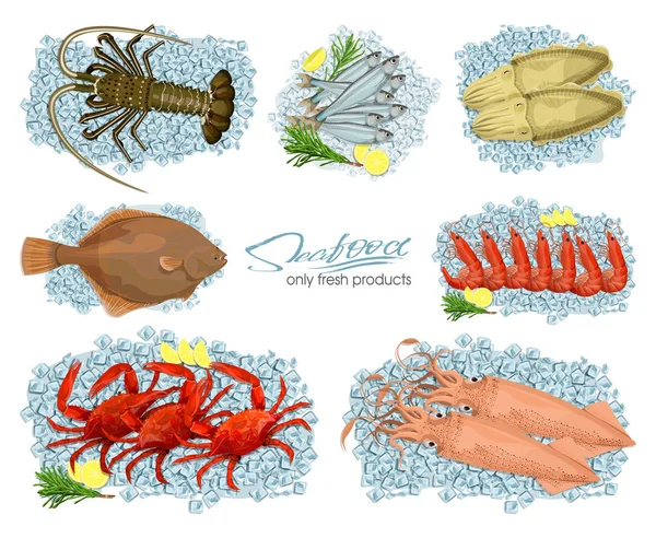 Frutti di mare in stile cartoon. Illustrazioni vettoriali calamari, seppie, granchi, gamberetti, aragoste spinose, passere pianuzze, spratti su cubetti di ghiaccio isolati su fondo bianco. Icone. Imposta . — Vettoriale Stock