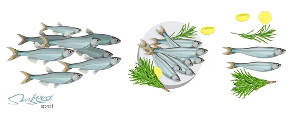 Sprat bosquejo icono de peces vector. Imagen vectorial del espadín oceánico. Espadines marinos atlánticos aislados con romero y limón en un plato. Espadín, limón, romero por separado sobre un fondo blanco — Vector de stock