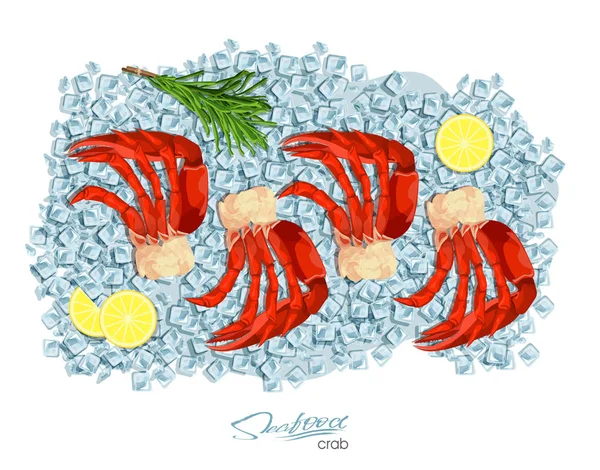 Granchio di carne con rosmarino e limone su cubetti di ghiaccio. Illustrazione vettoriale in stile cartone animato. Design del prodotto a base di pesce. Fauna selvatica abitante del mondo sottomarino. Frutti di mare commestibili . — Vettoriale Stock