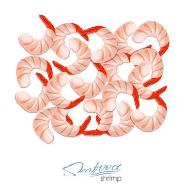 Taze karides. Karides Beyaz arka plan üzerinde izole karikatür tarzı resimde vektör. Deniz ürünleri ürün tasarımı. Sakini vahşi yaşam sualtı dünyasını. Yenilebilir deniz ürünleri. Vektör çizim