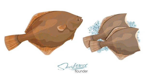 Olive Flounder. Ilustração vetorial peixe marinho sobre cubos de gelo isolados sobre fundo branco. Ícone distintivo solha peixe para embalagem de frutos do mar design e mercado . —  Vetores de Stock