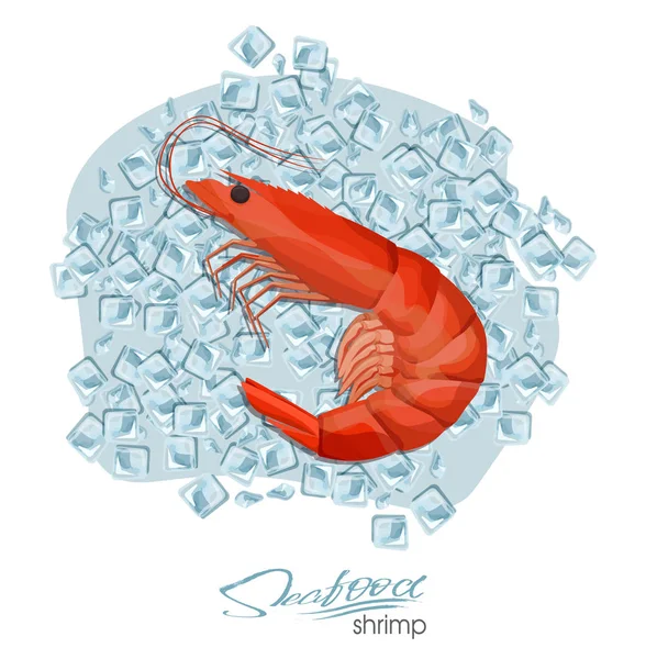 Camarones Cubitos Hielo Estilo Dibujos Animados Camarones Frescos Diseño Productos — Vector de stock