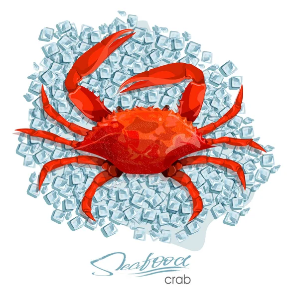 Cangrejo en cubitos de hielo en estilo de dibujos animados. Diseño de productos de mariscos. Vida silvestre habitante del mundo submarino. Comida de mar comestible. Ilustración vectorial — Vector de stock