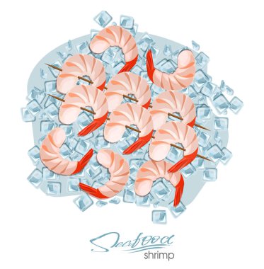 Karides Şiş karikatür tarzı buz üzerinde üzerinde. Taze karides. Deniz ürünleri ürün tasarımı. Sakini vahşi yaşam sualtı dünyasını. Yenilebilir deniz ürünleri. Vektör çizim