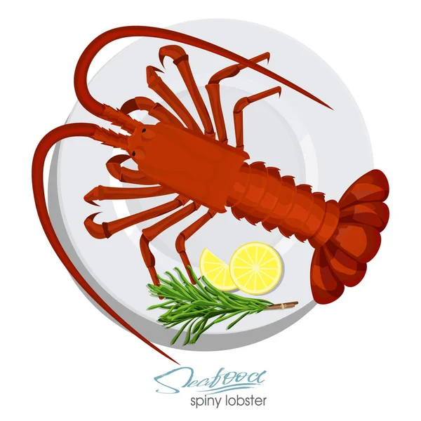 Langosta espinosa con romero y limón en el plato en estilo de dibujos animados. Langosta espinosa fresca. Diseño de productos de mariscos. Vida silvestre habitante del mundo submarino. Comida de mar comestible. Ilustración vectorial — Vector de stock