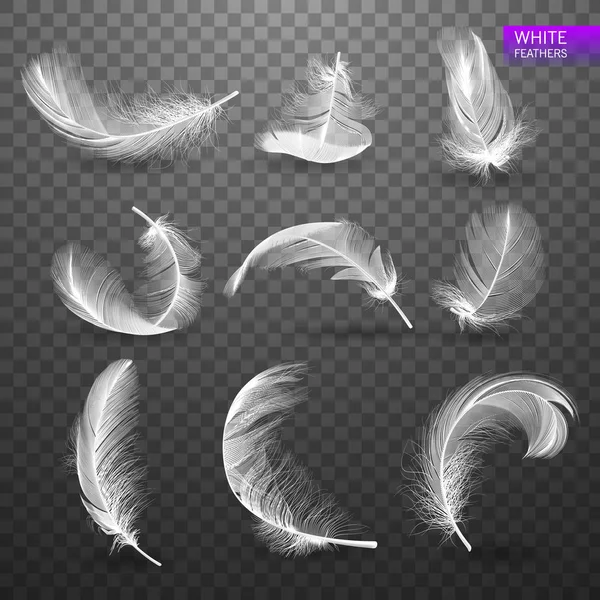Набор изолированных падающих белых пушистых закрученных перьев на прозрачном фоне в реалистичном стиле. Векторная миграция — стоковый вектор