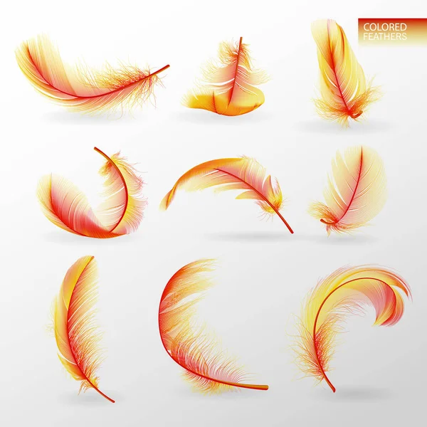 Ensemble de plumes torsadées pelucheuses colorées tombantes isolées sur fond transparent dans un style réaliste. Conception de plumes mignonnes légères. Eléments pour le design. Illustration vectorielle — Image vectorielle