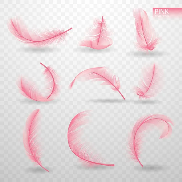 Набор изолированных падающих розовых пушистых закрученных перьев на прозрачном фоне в реалистичном стиле. Легкий симпатичный дизайн. Элементы дизайна. Векторная миграция — стоковый вектор