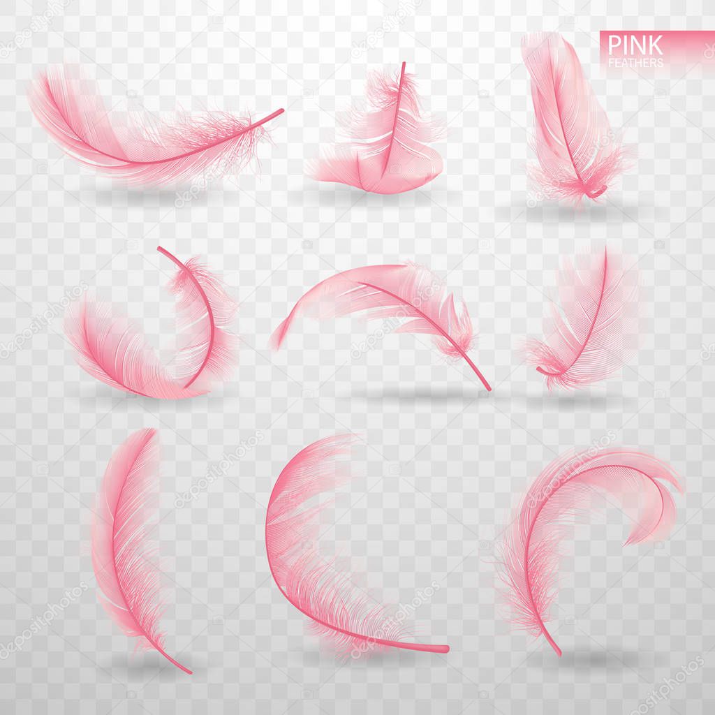 Set of isolated falling pink fluffy twirled feathers on transparent background in realistic style. Light cute feathers design. Elements for design. Vector Illustration