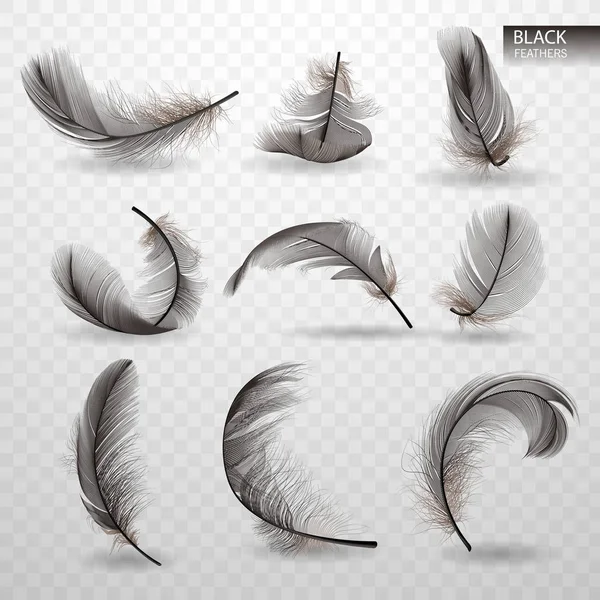 Set of isolated falling black fluffy twirled feathers on transparent background in realistic style. Vector Illustration — Stock Vector