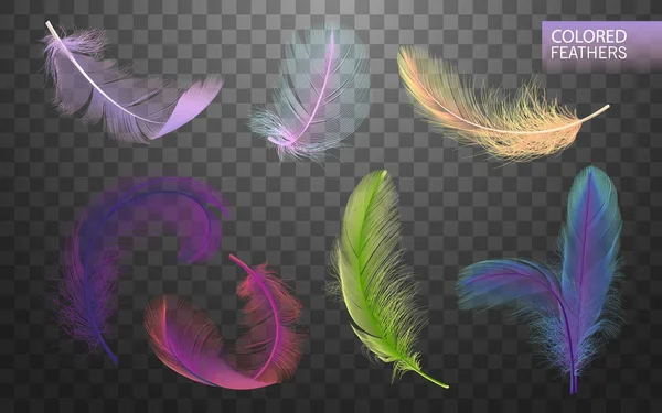 Uppsättning av isolerade fallande färgade fluffiga twirled fjädrar på transparent bakgrund i realistisk stil. Ljus söt fjädrar. Element för design. Vektorillustration — Stock vektor
