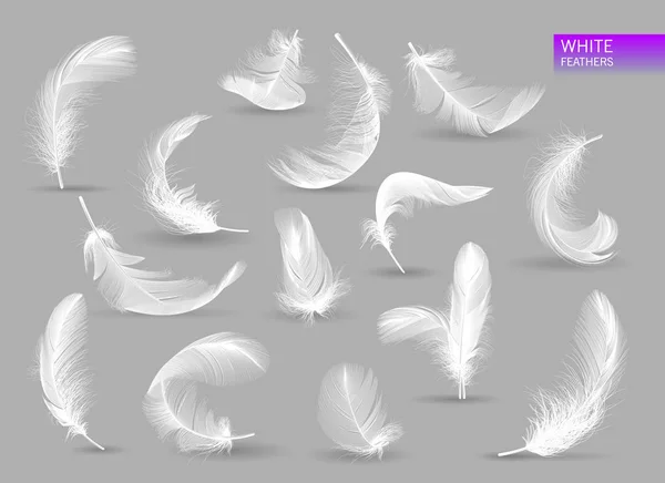 Реалистичные перья. Белая птица падает перо изолированы на белом фоне векторной коллекции. Иллюстрация пернатой птицы, мягкий белый шлейф — стоковый вектор