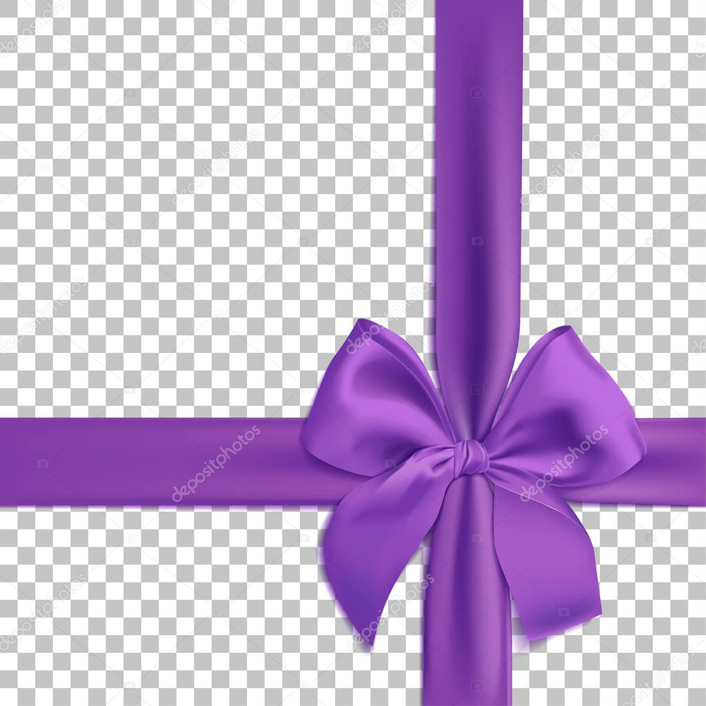 Realistic purple bow and ribbon isolated on transparent background. Template for brochure or greeting card. Vector illustration.