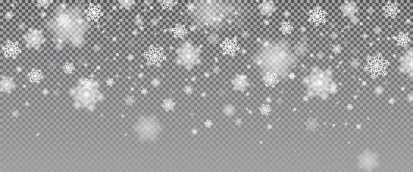 Fond de chute de neige. Chute de neige vectorielle de la veille de Noël. Paillettes blanches flocons de neige tombant sur fond transparent . — Image vectorielle