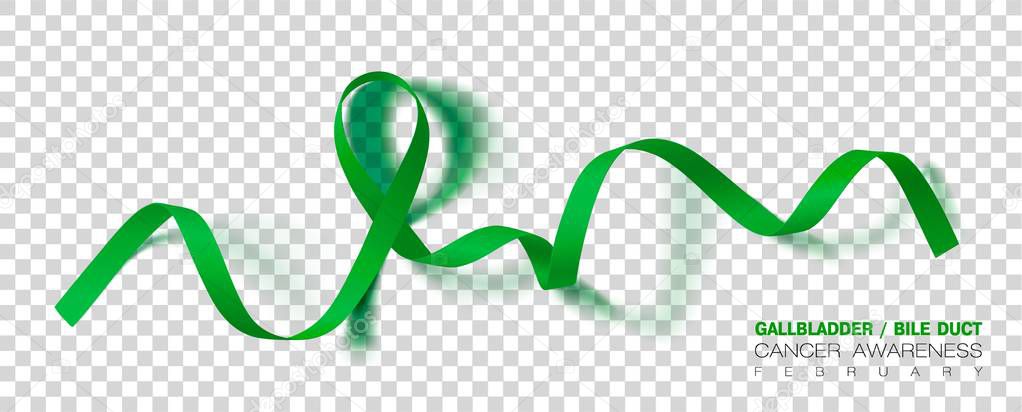 Gallbladder and Bile Duct Cancer Awareness Month. Realistic Kelly Green ribbon symbol. Vector Illustration. Medical Design.