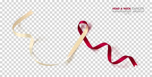 Głowy Szyi Cancer Awareness Month Kolor Bordowy Kości Słoniowej Wstążki — Wektor stockowy