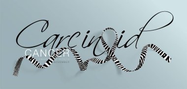 Karsinoid kanser farkındalık kaligrafi poster tasarımı. Gerçekçi Zebra şerit şerit. Kasım kanser Farkındalık ay olduğunu. Vektör