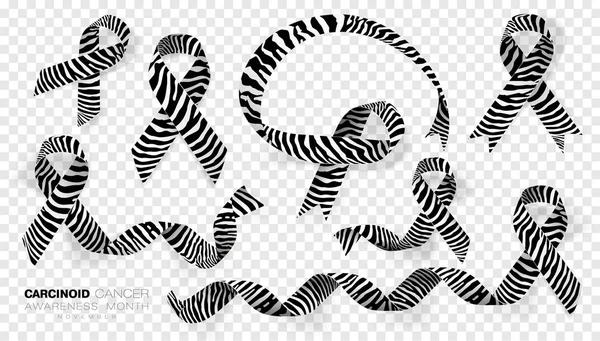 Karsinoid Kanseri Farkındalık ay. Şeffaf arka planda yalıtılmış Zebra şerit renk şerit. Vektör tasarım şablonu poster Için.