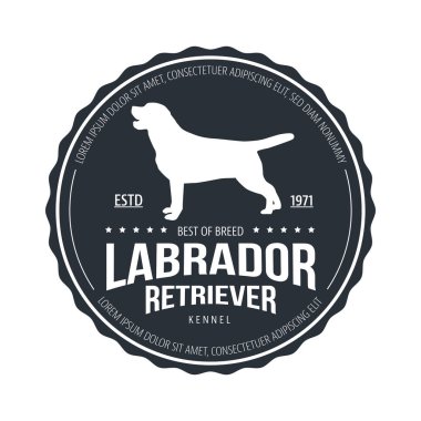 Vintage köpek rozeti. Labrador retriever logosunu görmeniz gerekir. Vektör çizim. 